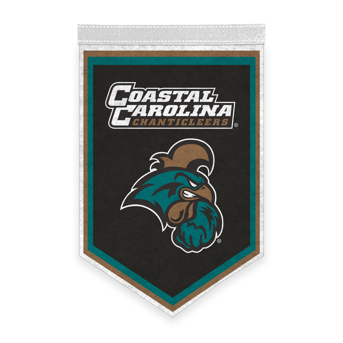 AGAS Mini Coastal Carolina CCU University Chanticleers Graduation Banner 12 x 18" - with Pole Sleeve