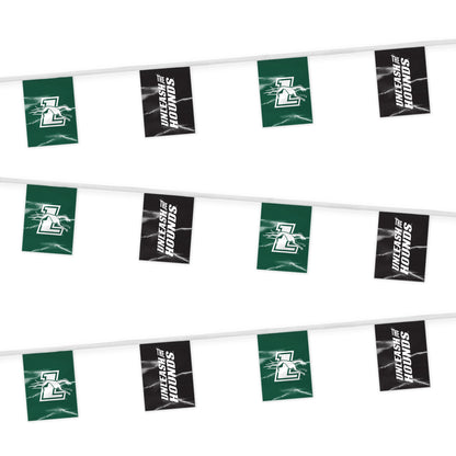 Loyola University Maryland Pennant String 9 x 12 inch