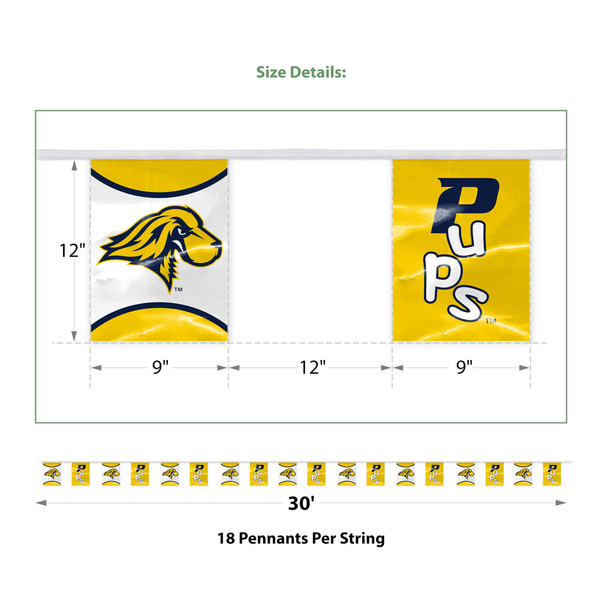 Pace University Pennant String 9 x 12 inch