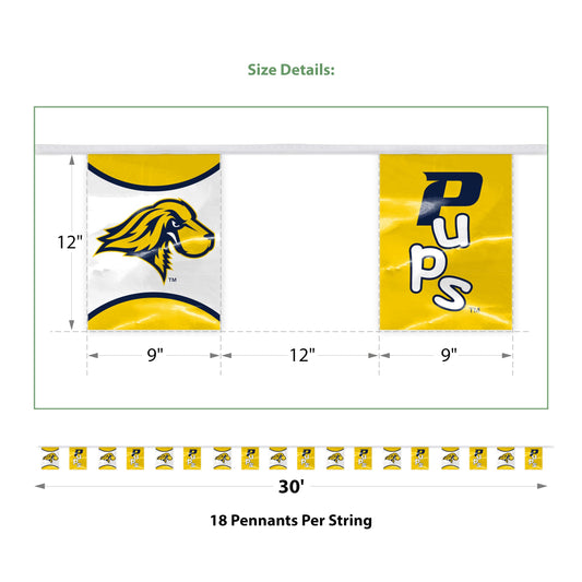 Pace University Pennant String 9 x 12 inch