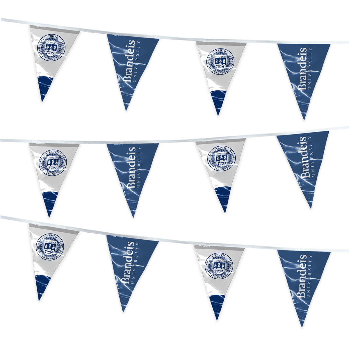 Brandeis University Pennant string 4 x 6 inch