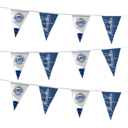 Brandeis University Pennant string 4 x 6 inch