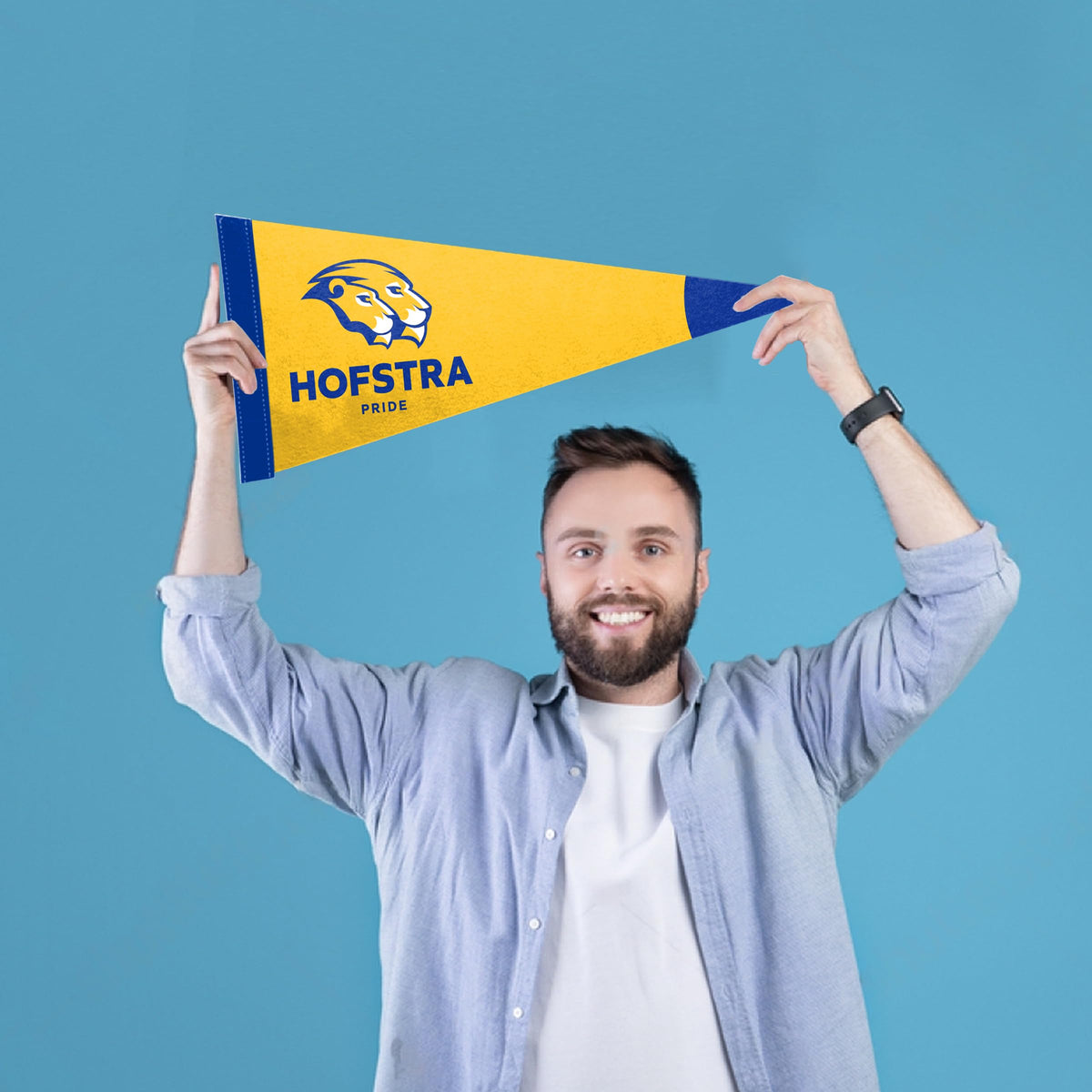 Hofstra University Felt Pennant 9 x 24 inch