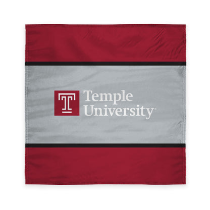 AGAS Temple University - Misc Flags