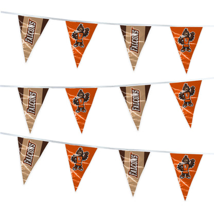 Bowling Green State University Pennant Banner String 4 x 6 inch