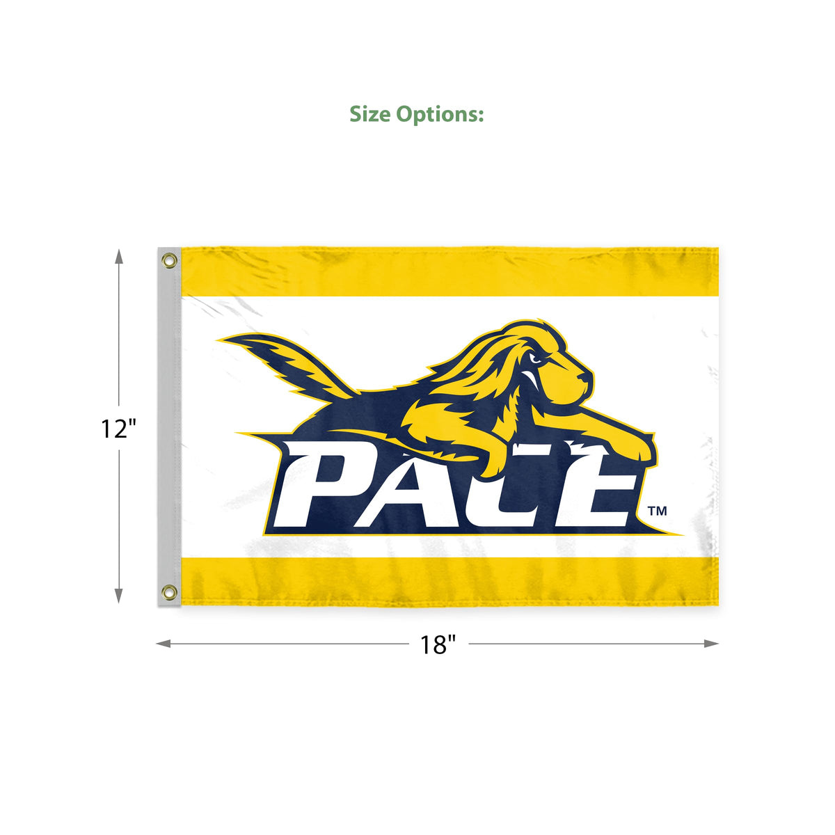 Pace University Flag 12 x 18 inch