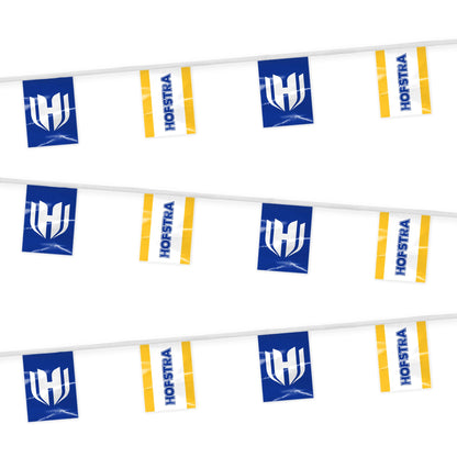 Hofstra University Rectangle Pennant String 9 x 12 inch