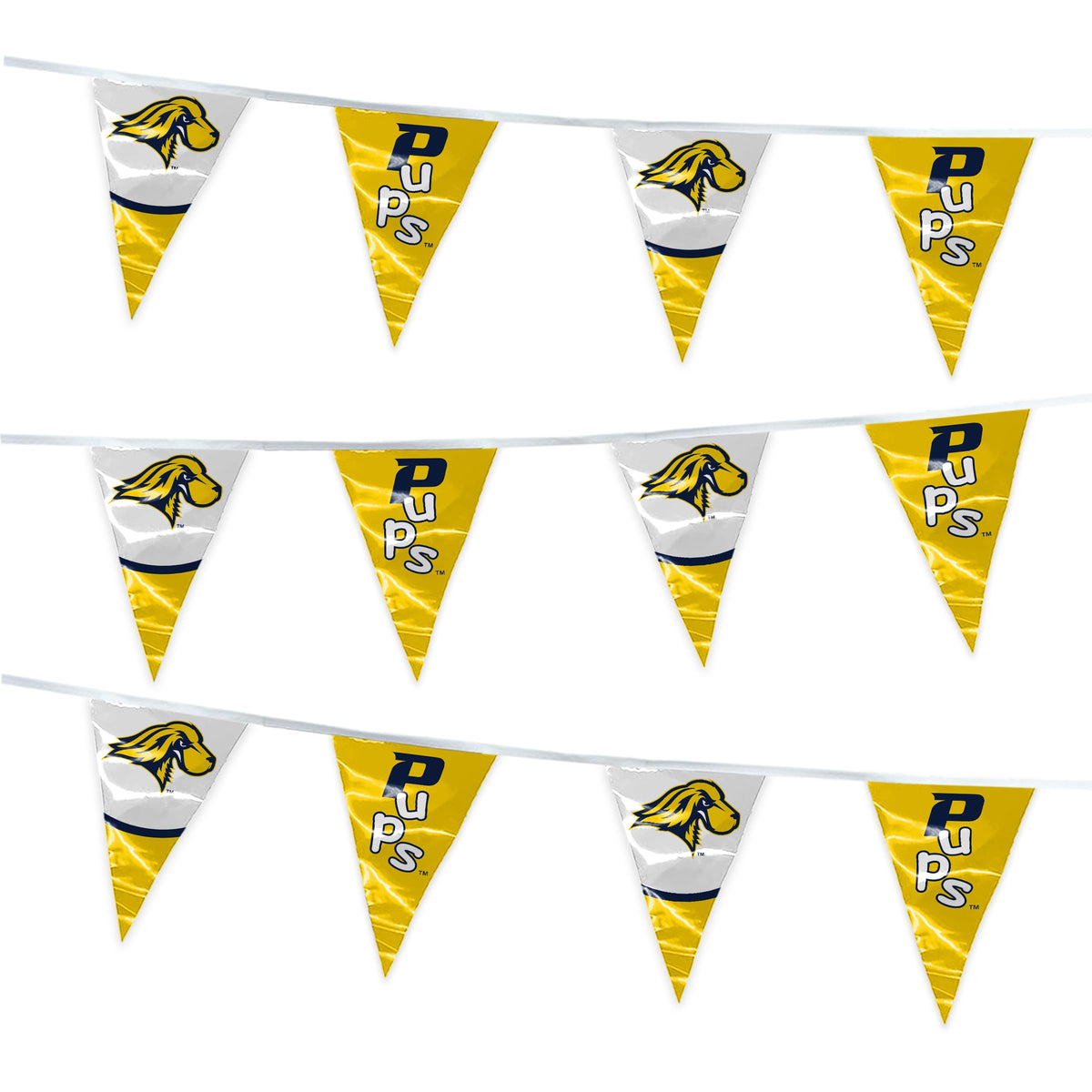 Pace University Pennant String 4 x 6 inch