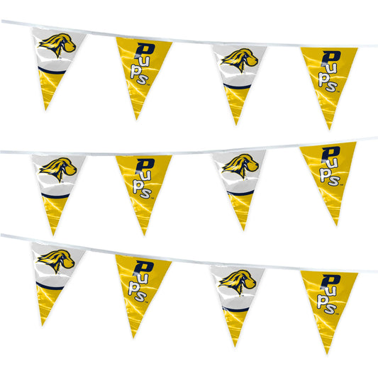 Pace University Pennant String 4 x 6 inch