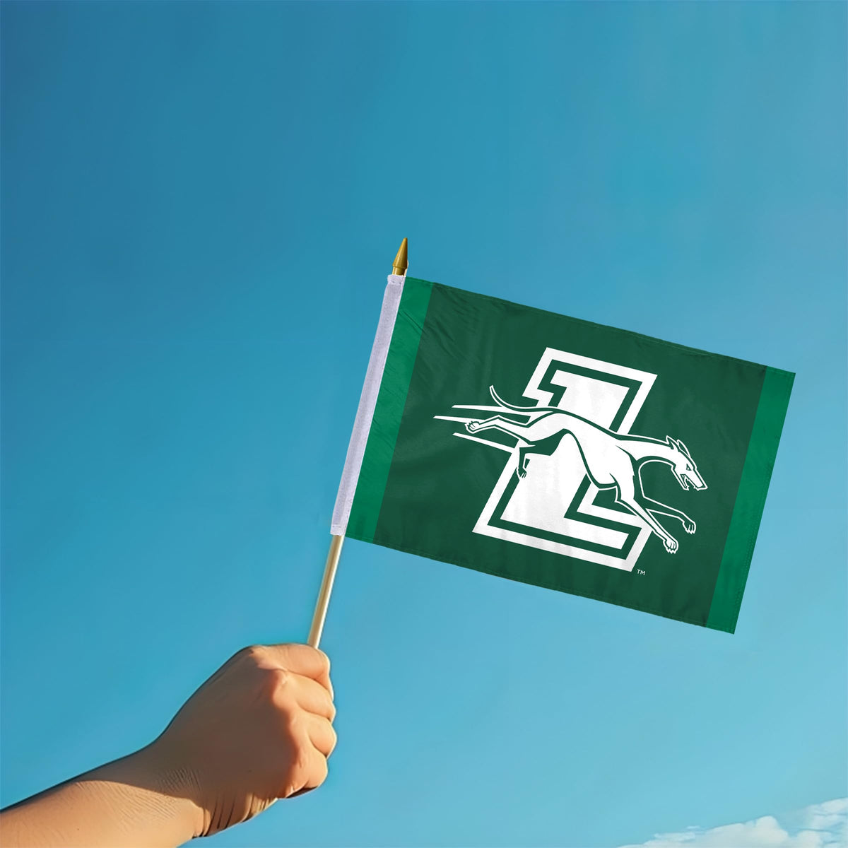 Loyola Maryland University Stick Flag 12 x 18 inch