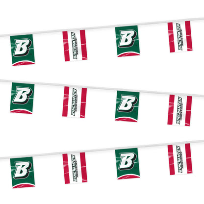 AGAS Binghamton University Rectangle Pennant String 9 x 12 inch – 30 ft Pennants BU Bearcats Design – Official NCAA Binghamton Bearcats Decor – Party Decoration with 18 Pieces