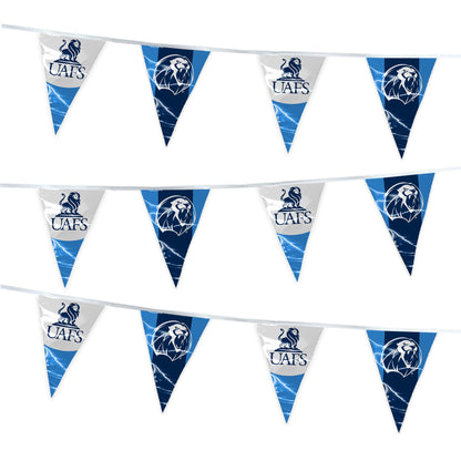 University of Arkansas Fort Smith Pennant Banner String 4 x 6 inch