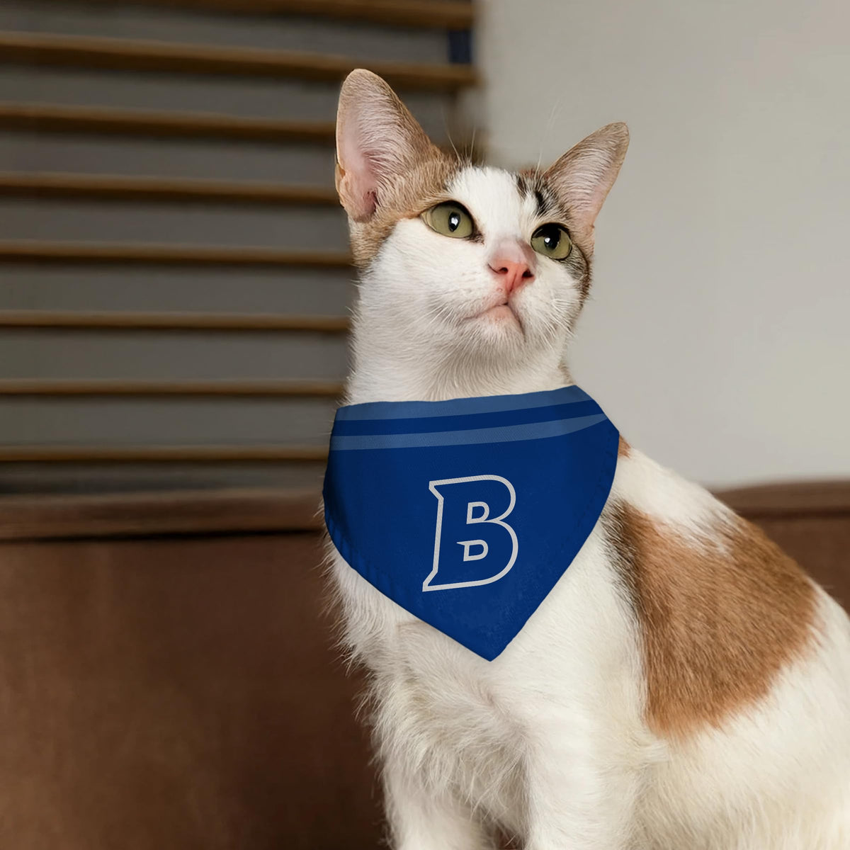 Brandeis University Pet Bandana 14.75 x 9.5 inch