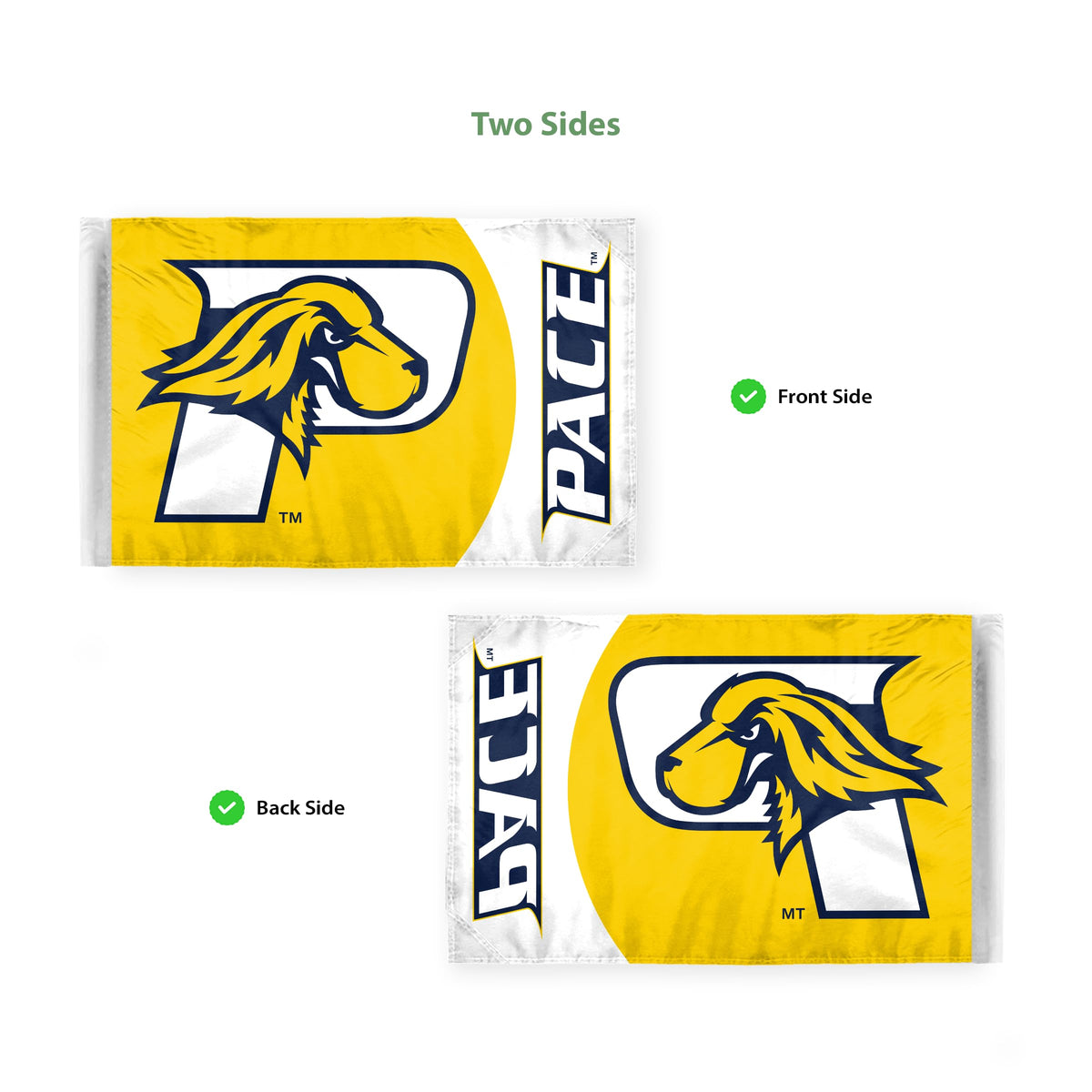 Pace University Motorcycle Flag 6 x 9 inch