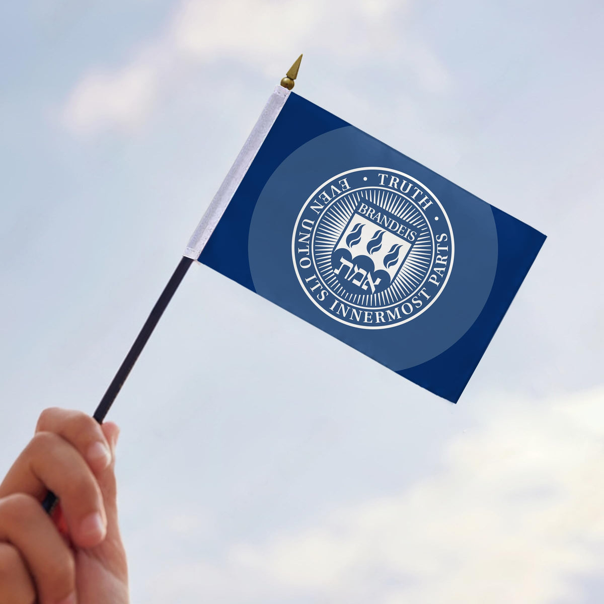 Brandeis University Stick Flag 4 x 6 inch