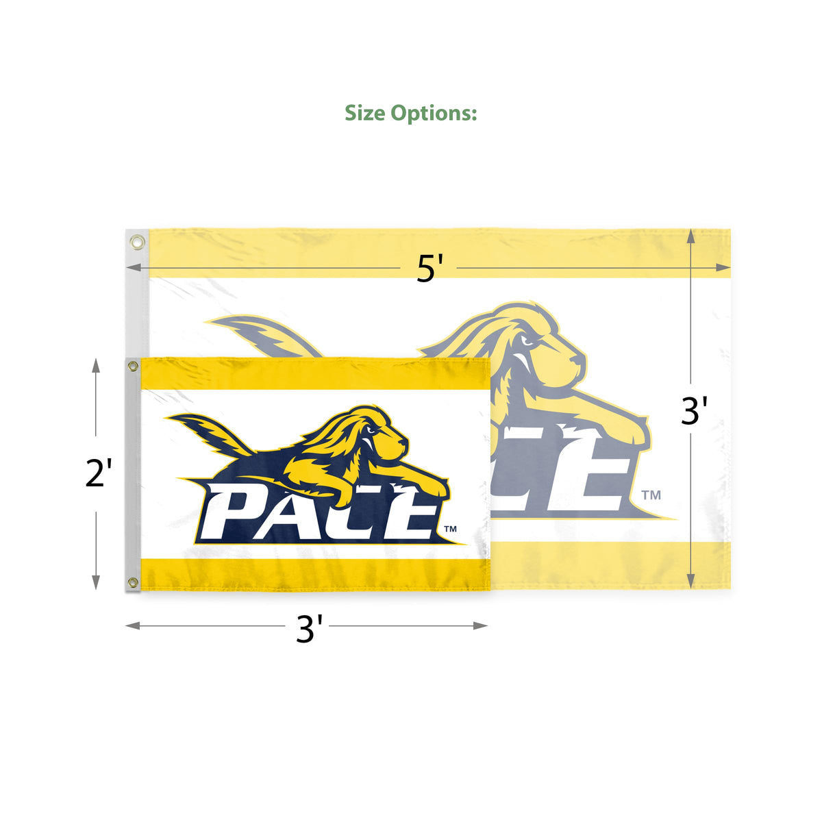 Pace University Flag 3 x 5 ft