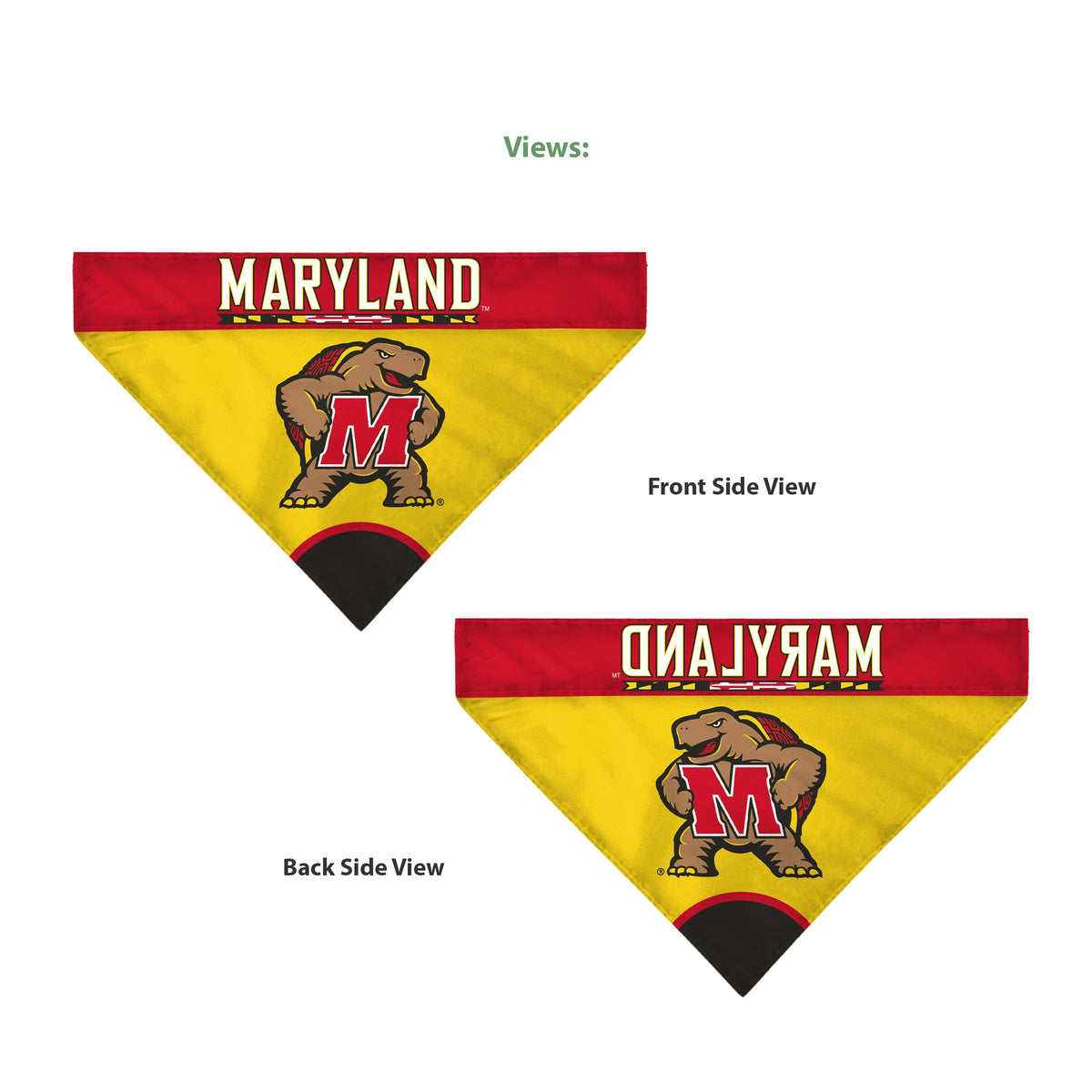 AGAS - Maryland University