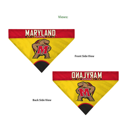 AGAS - Maryland University