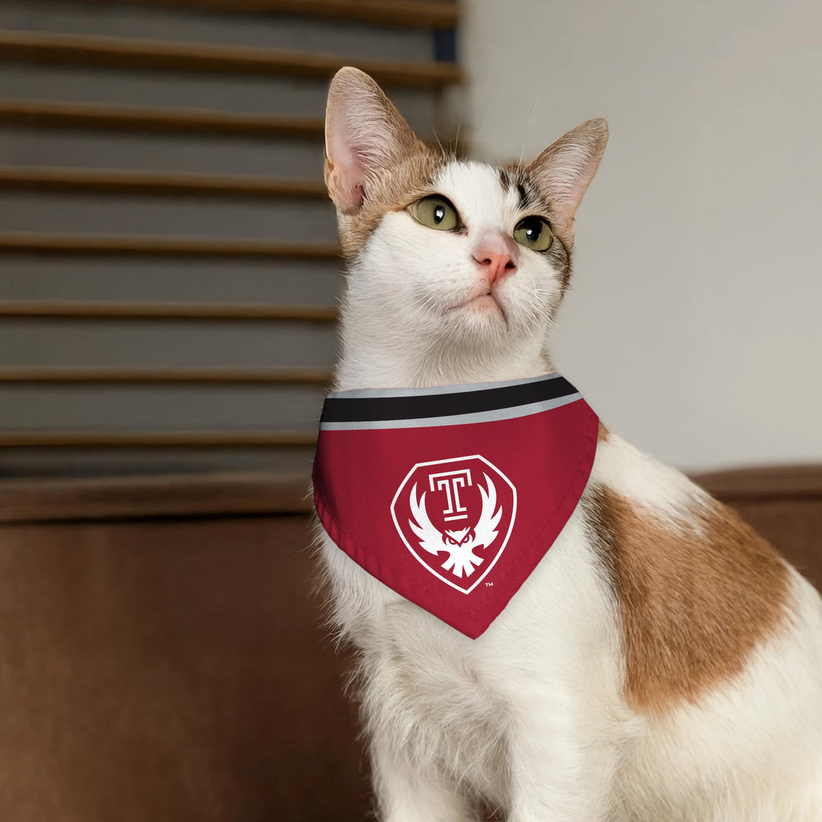 AGAS Temple Owls Logo Pet Bandana for Dogs and Cats 14.75 x 9.5 inch Single Sided Printed Polyester with Bleed Through Officially Licensed NCAA Product Collar Not Included