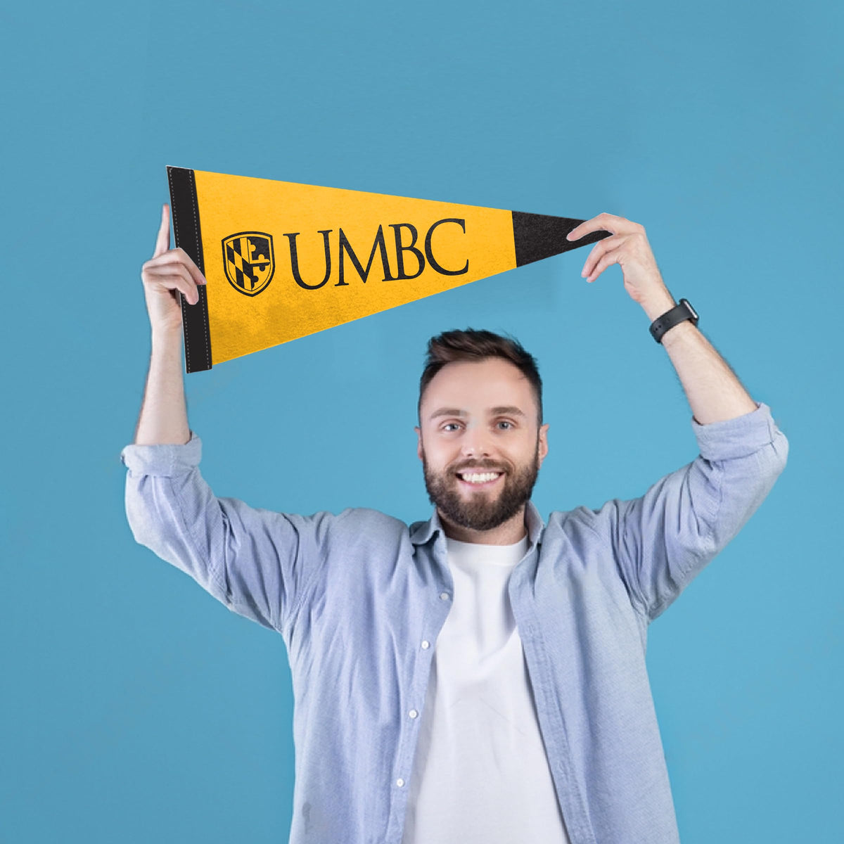 University of Maryland Baltimore County Felt Pennant 9 x 24 inch