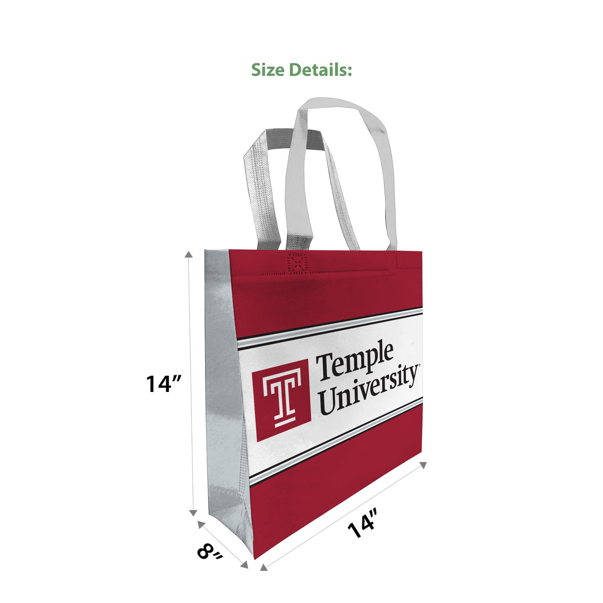 AGAS Temple University - Misc Flags