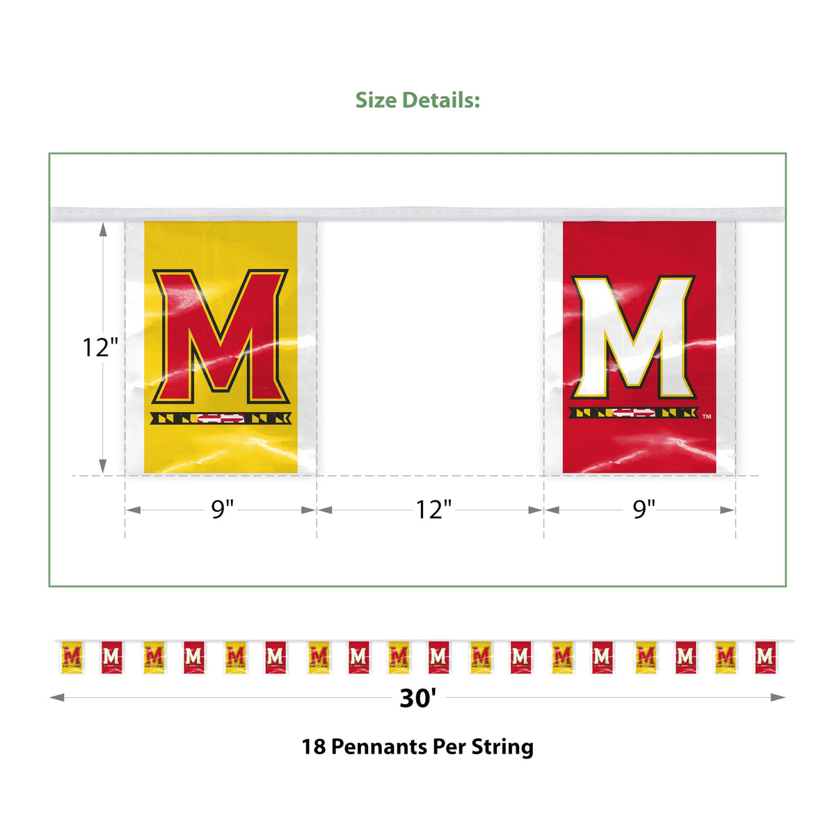 AGAS - Maryland University