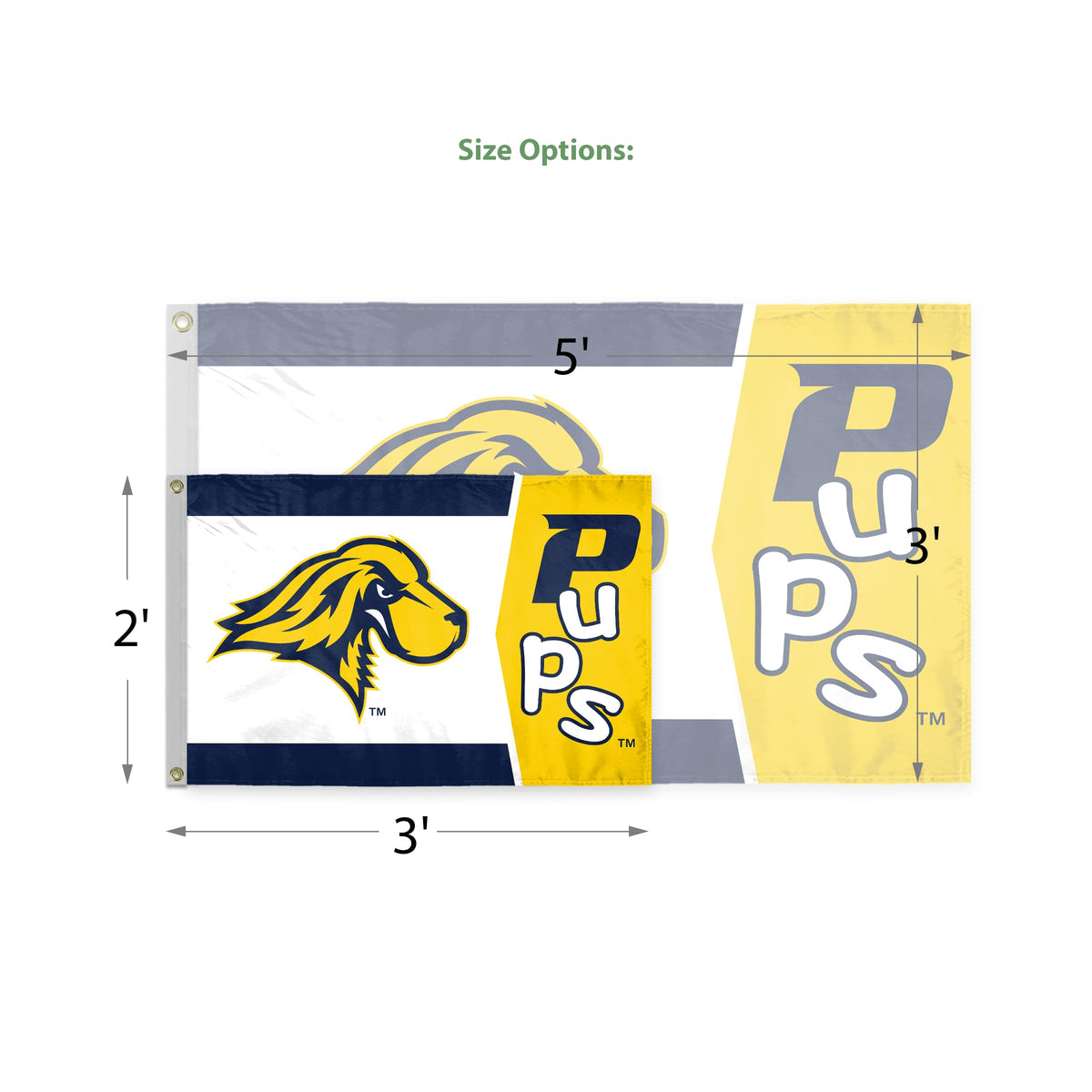 Pace University Flag 3 ft x 5 ft