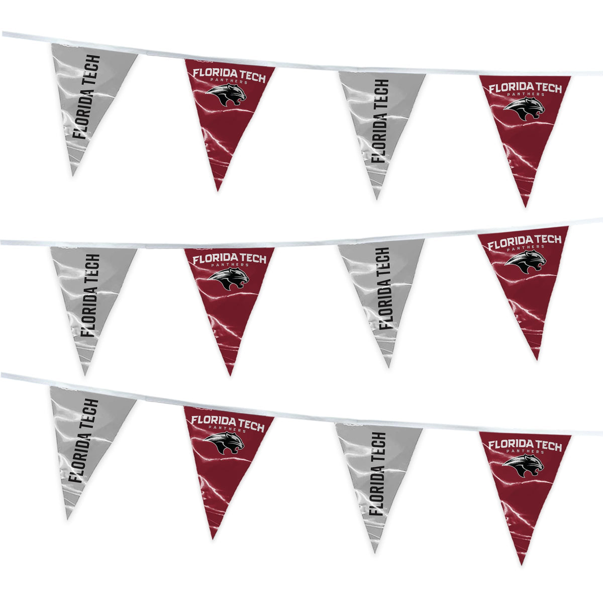 Florida Institute of Technology Pennant String 4 x 6 inch