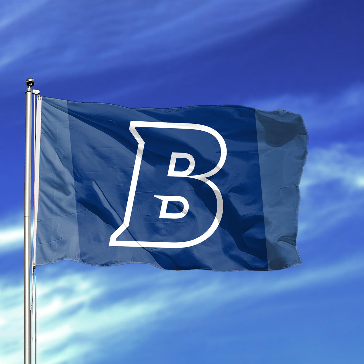 Brandeis University Flag 12 x 18 inch