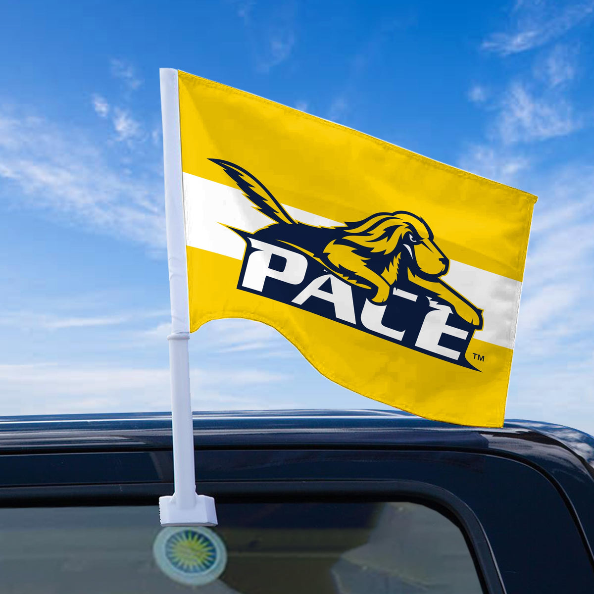 Pace University Economy Car Flag 12 x 16 inch