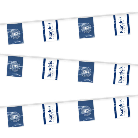 Brandeis University Pennant string 9 x 12 inch