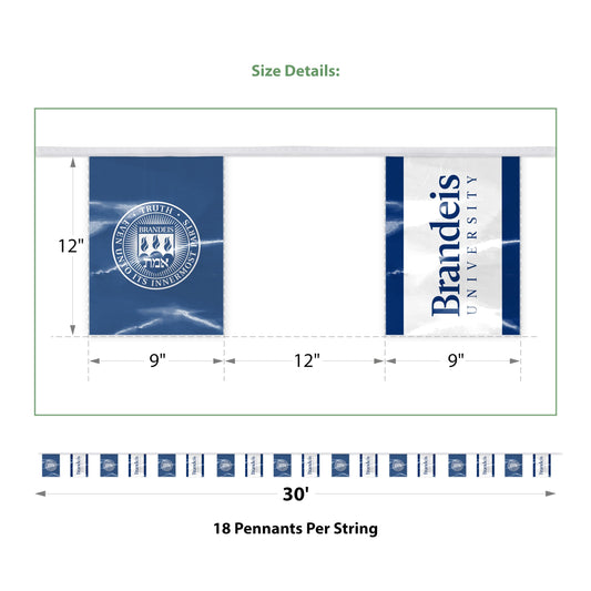 Brandeis University Pennant string 9 x 12 inch