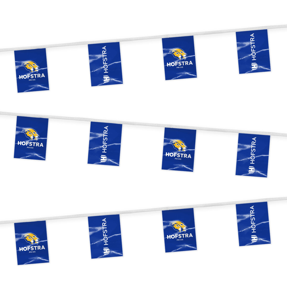 Hofstra University Rectangle Pennant String 9 x 12 inch