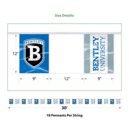 Bentley University Pennant string 9 x 12 inch