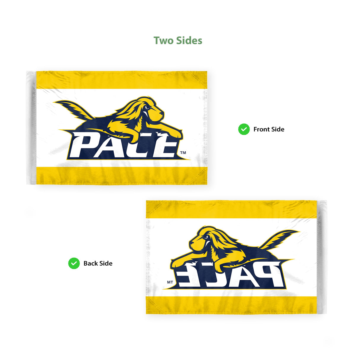 Pace University Motorcycle Flag 6 x 9 inch