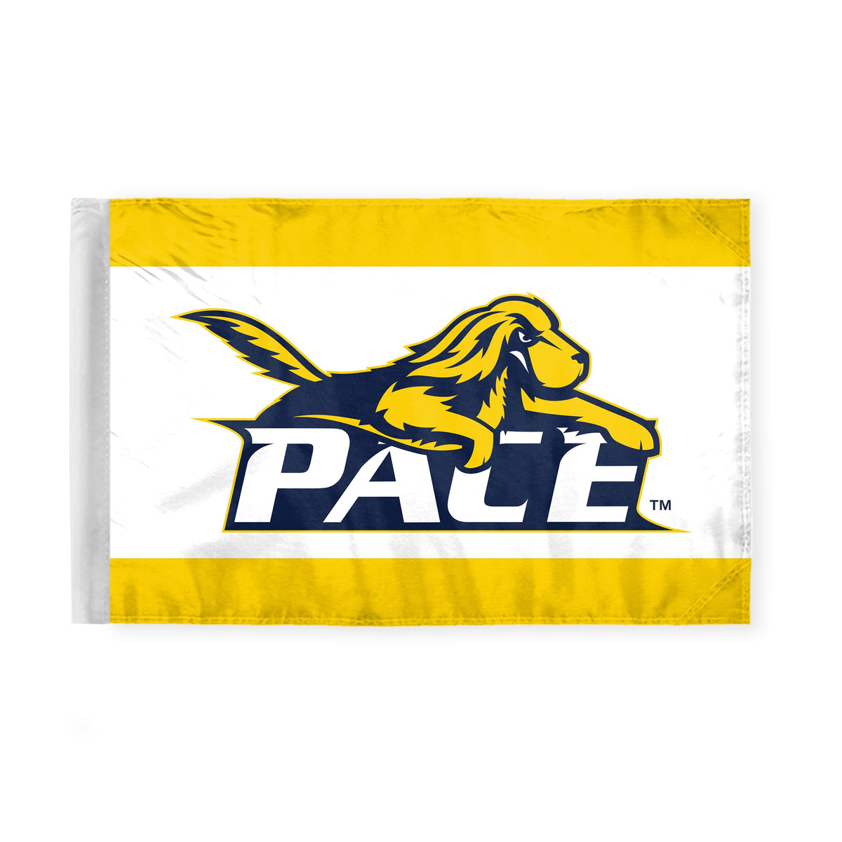 Pace University Motorcycle Flag 6 x 9 inch