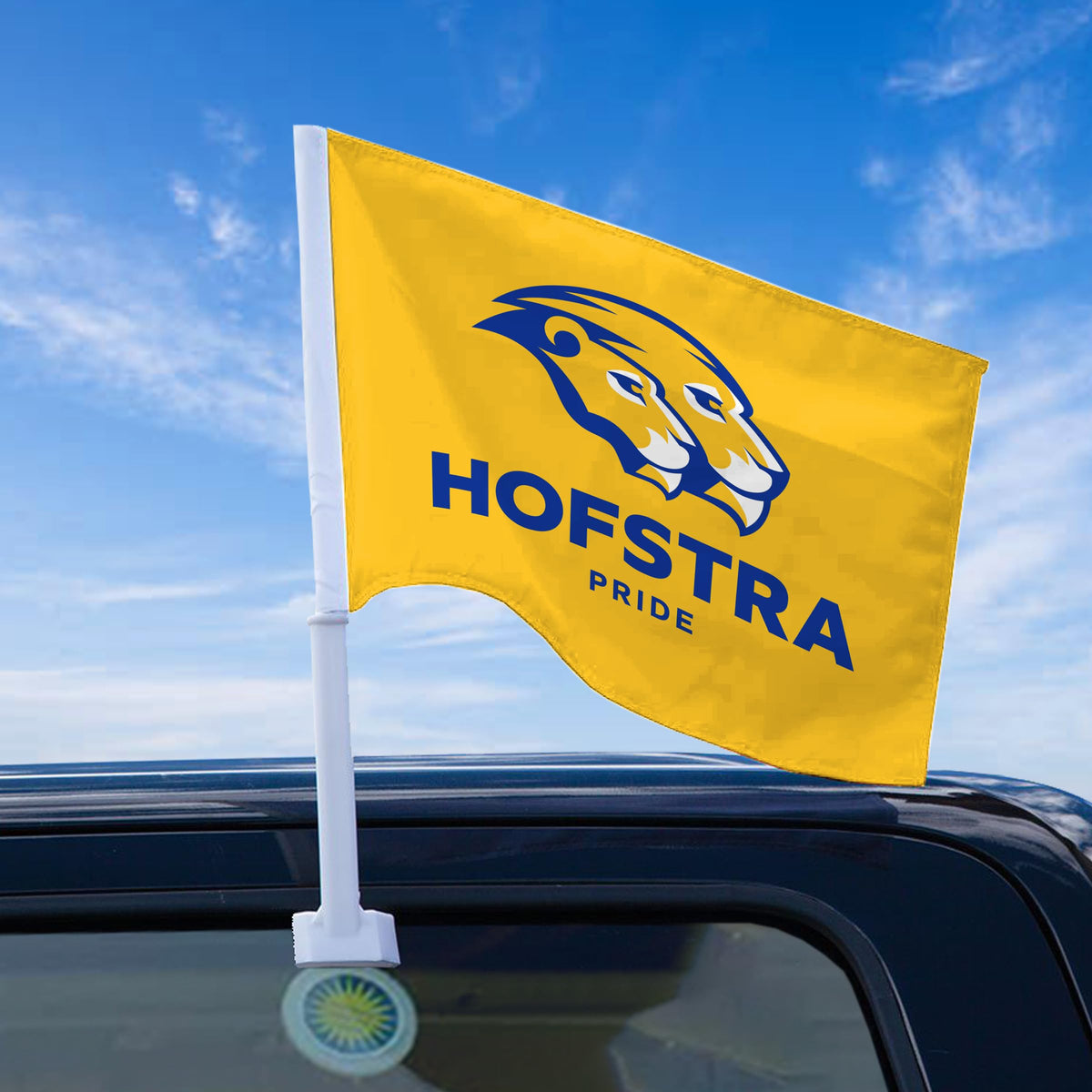 Hofstra University Economy Car Flag 12 x 16 inch