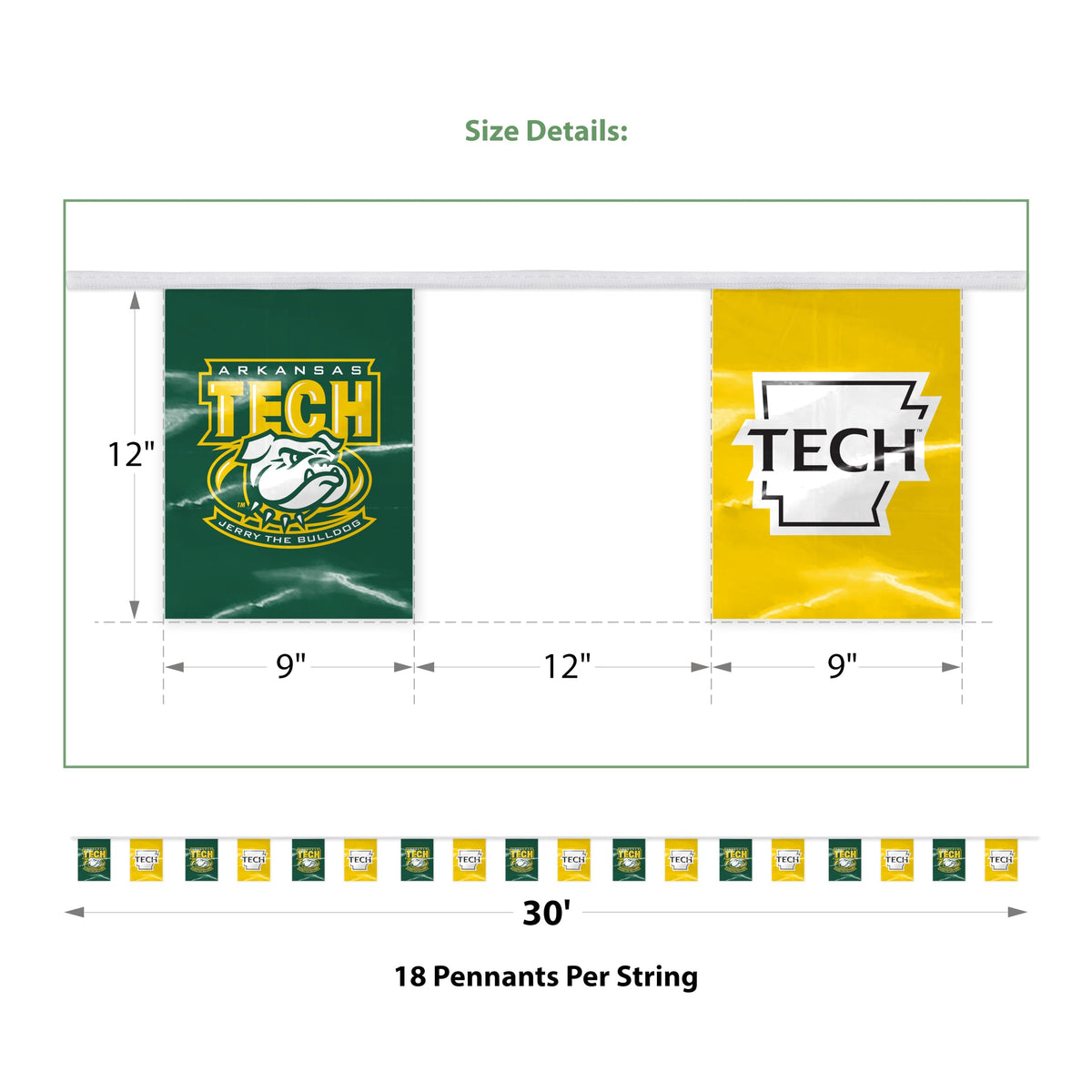 Arkansas Tech University Pennant String 9 x 12 inch