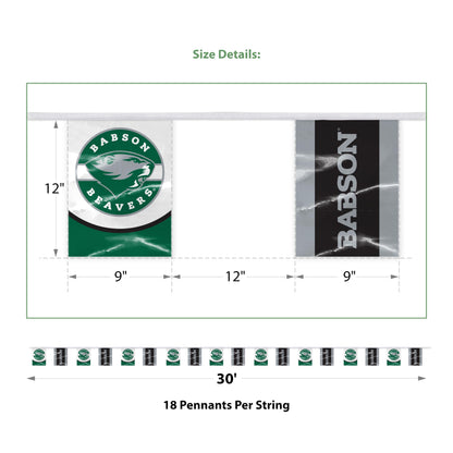 Babson College Pennant String 9 x 12 inch