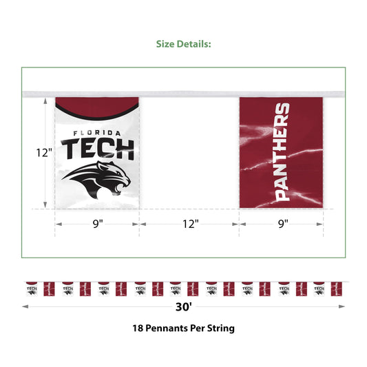 Florida Institute of Technology Rectangle Pennant String 9 x 12 inch