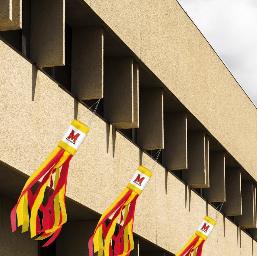 AGAS - Maryland University