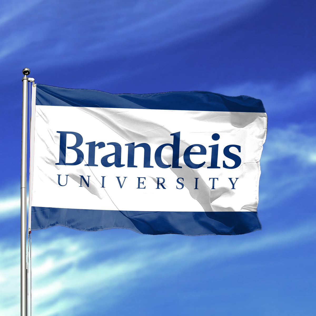 Brandeis University Flag 2 ft x 3 ft
