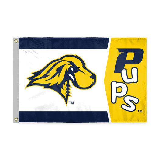 Pace University Flag 12 x 18 inch