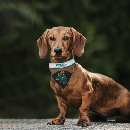 AGAS - Coastal Carolina University