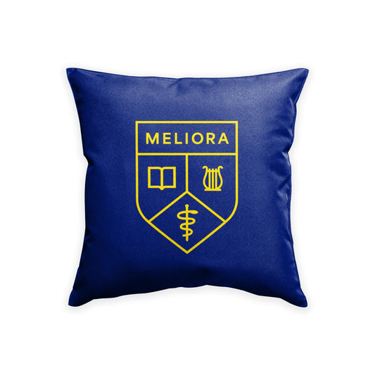 University of Rochester Cushion Cover 18 x 18 inch