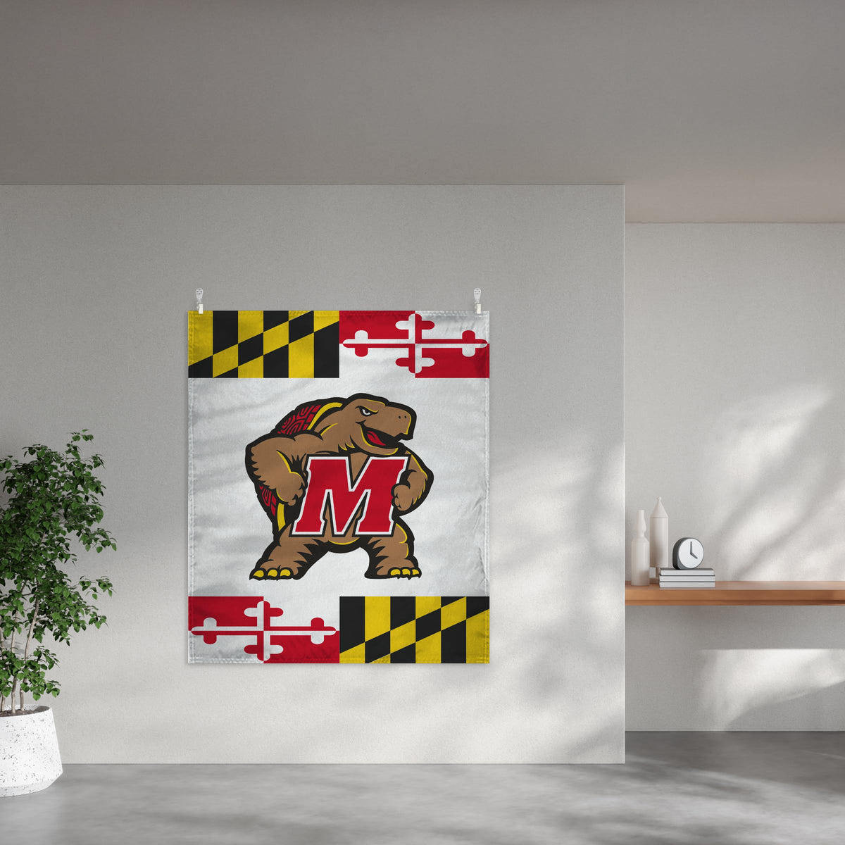 AGAS - Maryland University