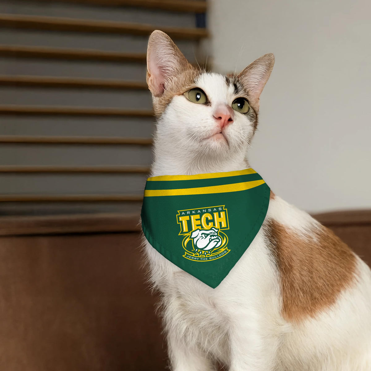 Arkansas Tech University Pet Bandana 9.75 x 6.5 inch