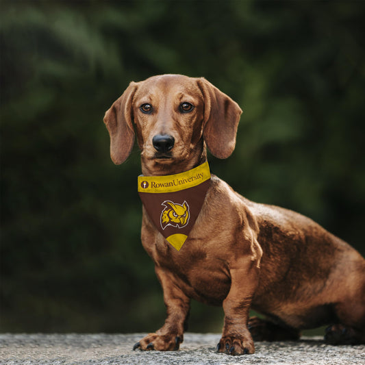 Rowan University Pet Bandana 9.75 x 6.5 inch