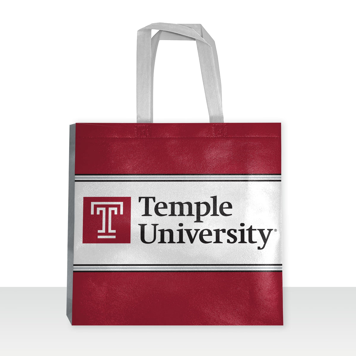 AGAS Temple University - Misc Flags