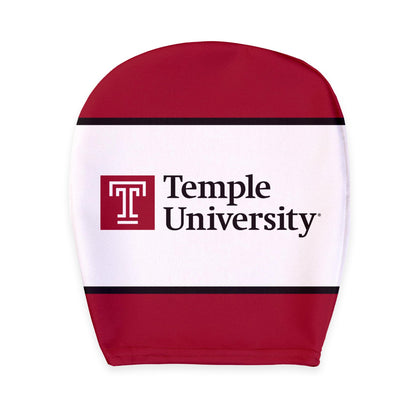 AGAS Temple University - Misc Flags